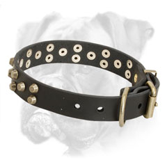 Wide leather Boxer collar with brass hardware