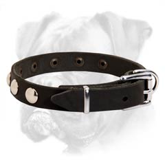 Super lightweight leather Boxer collar