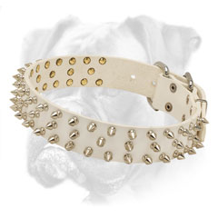Extravagant white leather Boxer collar