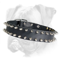 Splendid leather collar High quality leather Boxer collar