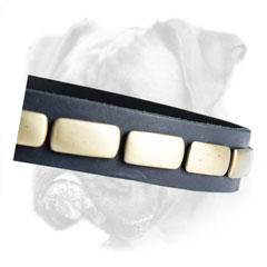 Extraordinaly design Boxer leather collar