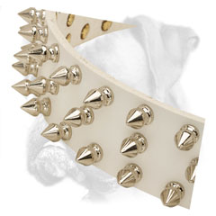 Totally comfortable leather white Boxer collar