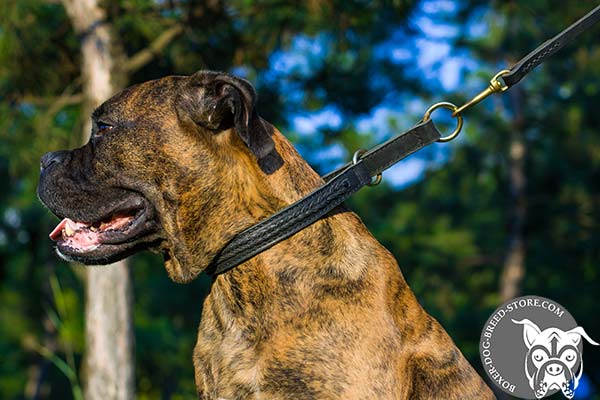 Boxer choke collar of braided design with d-ring for leash attachment for basic training