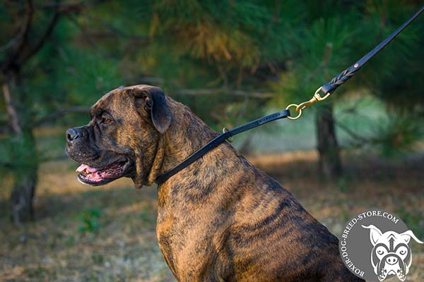 Boxer choke collar of high quality with brass plated hardware for any activity