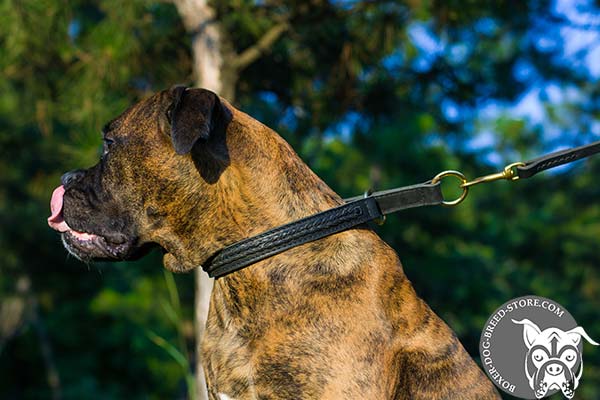 Boxer choke collar with reliable fittings for quality control