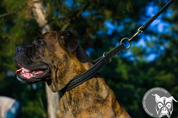 Boxer choke collar with rust-proof hardware for daily walks