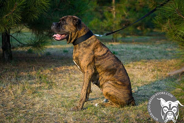 Water resistant nylon Boxer collar