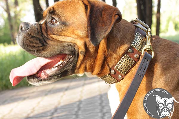 Boxer collar with brass pyramids and hammered plates