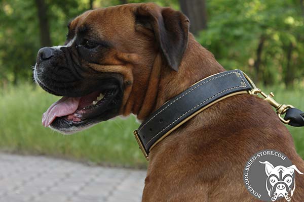 Padded Boxer collar pleasant to wear