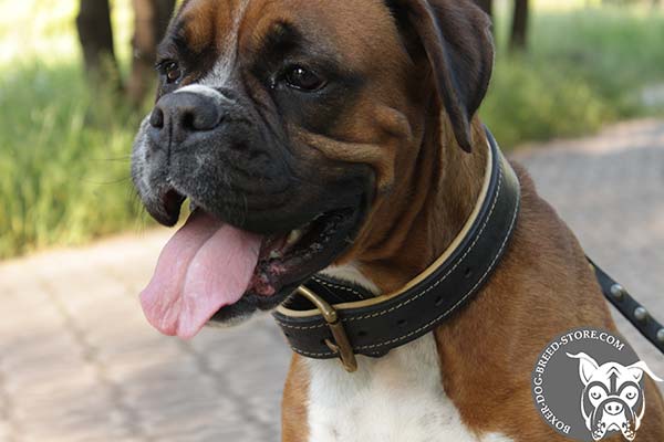 Comfortable Boxer collar 