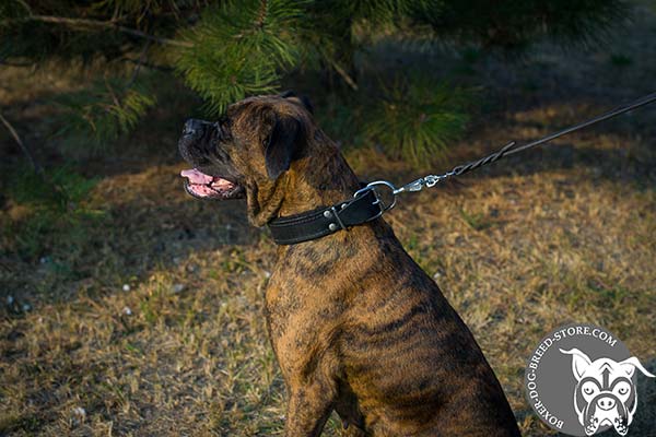 Easy adjustable leather collar for Boxer