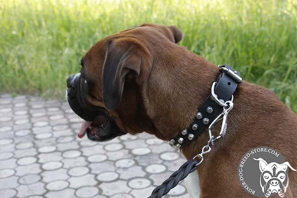 Easy adjustable Boxer collar for walking