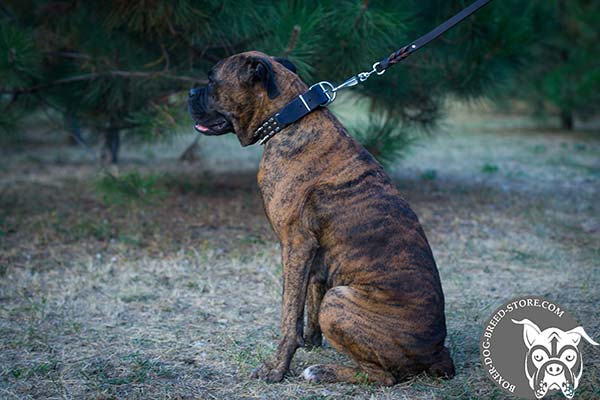 Multitask leather Boxer collar