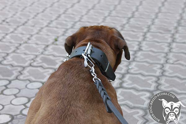 Leather Boxer collar with nickel plated D-ring