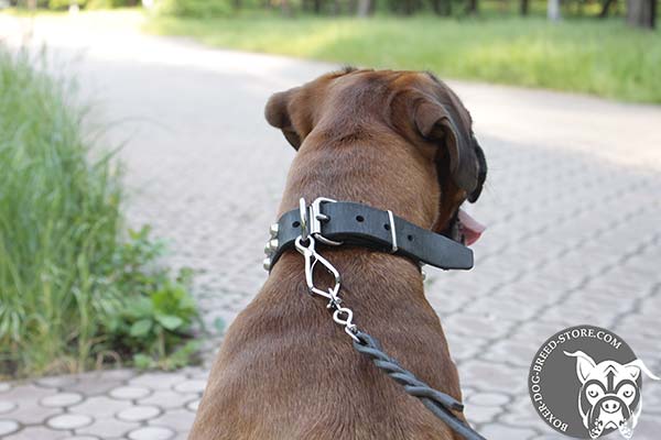 Quality Boxer collar with nickel plated fittings