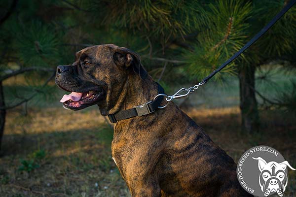 Nylon Boxer collar with quick release buckle