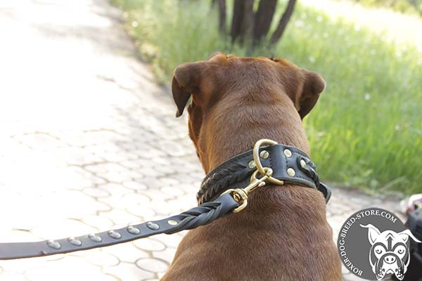 Leather Boxer collar riveted at stress points