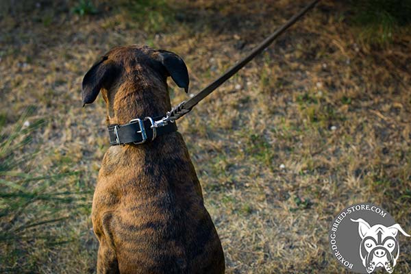 Leather Boxer collar with durable D-ring