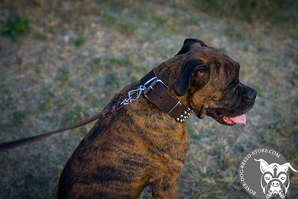 Wide Boxer collar with traditional buckle