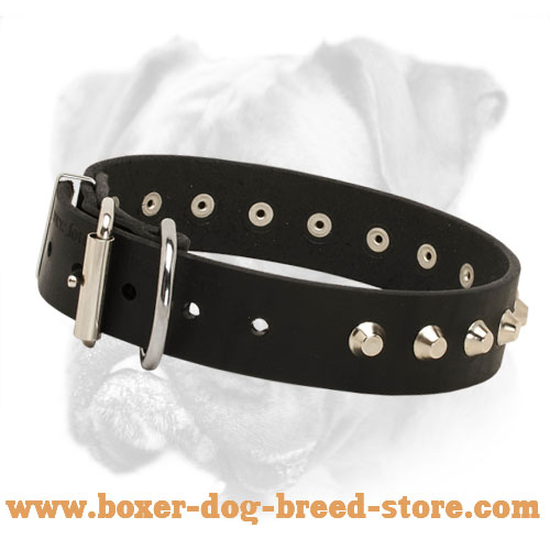 Leather Dog Collar with Pyramids for Daily Walks