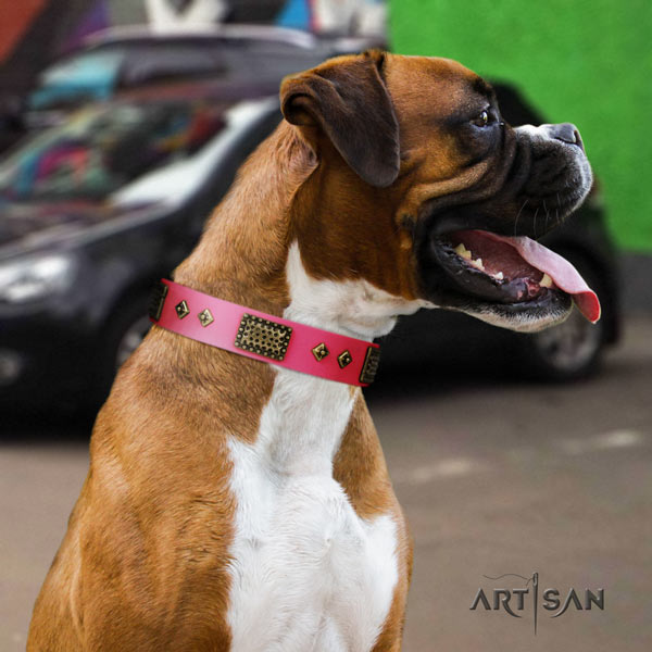 Boxer embellished full grain leather collar with corrosion proof d-ring