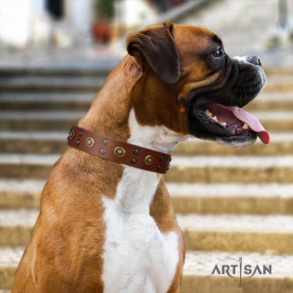 Boxer incredible full grain natural leather collar with corrosion proof traditional buckle