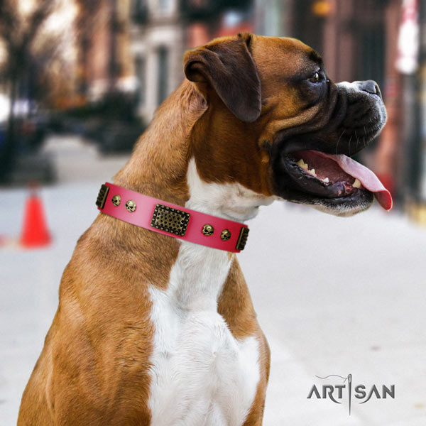 Boxer stylish design full grain natural leather collar with corrosion resistant fittings