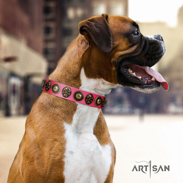 Boxer significant natural genuine leather dog collar for daily walking