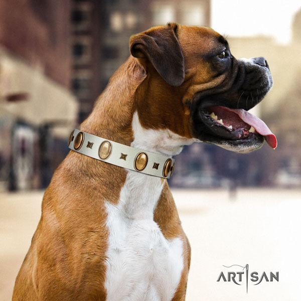 Boxer inimitable full grain genuine leather dog collar for daily walking