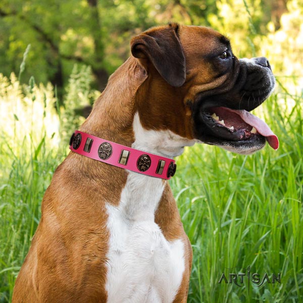 Boxer top quality full grain genuine leather dog collar for everyday use