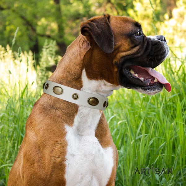 Boxer comfortable natural leather collar with rust-proof fittings