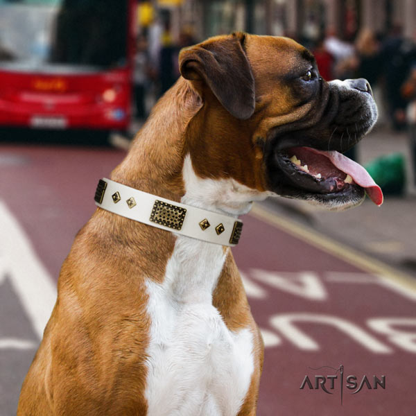 Boxer impressive full grain natural leather collar with corrosion proof fittings