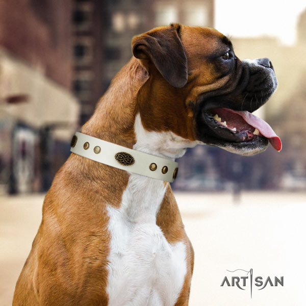 Boxer convenient full grain genuine leather collar with corrosion resistant traditional buckle