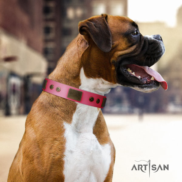 Boxer adorned natural leather collar with corrosion proof hardware