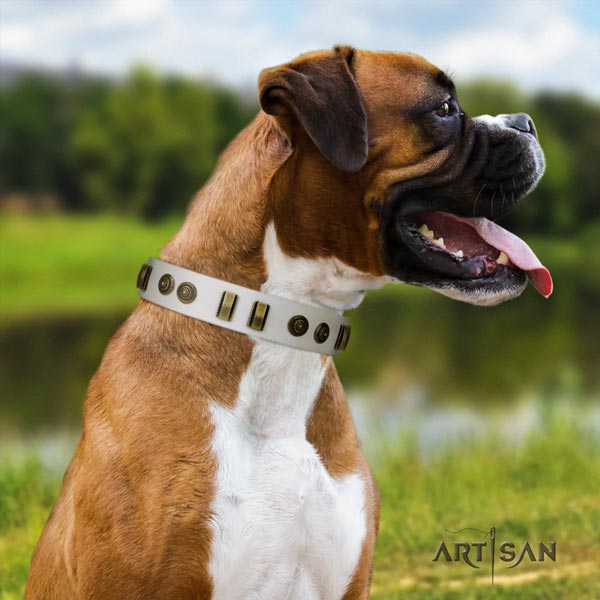 Boxer comfortable full grain natural leather collar with corrosion proof fittings