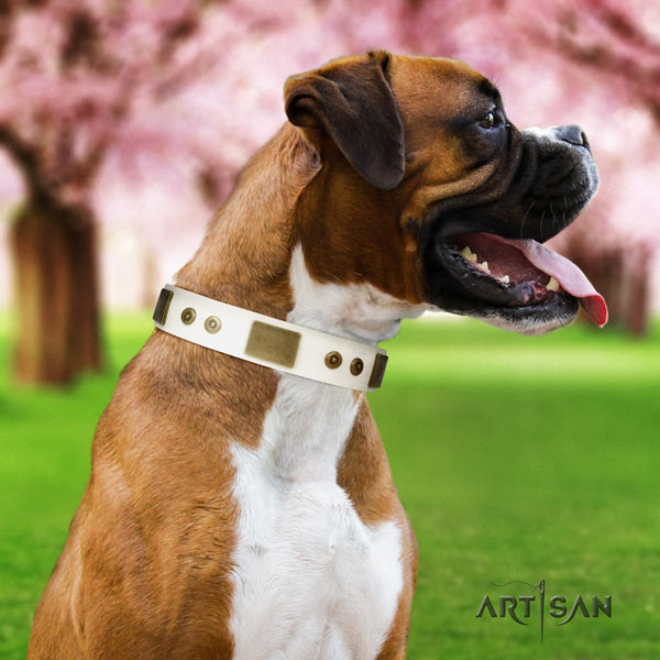 Boxer designer genuine leather collar with rust resistant d-ring