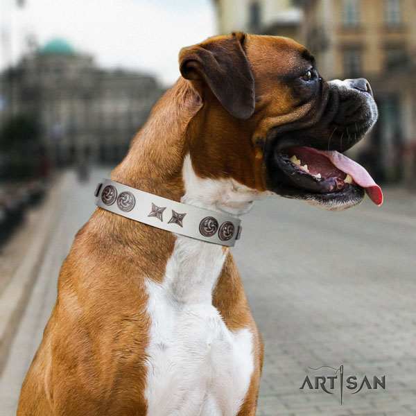 Boxer natural genuine leather collar with corrosion resistant hardware for basic training