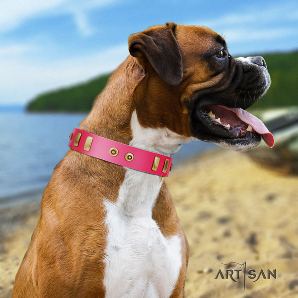 Boxer best quality leather dog collar for everyday walking