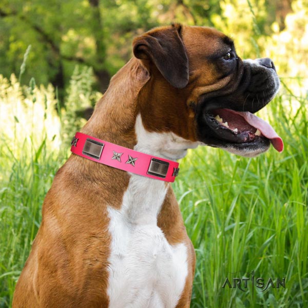 Boxer genuine leather collar with durable fittings