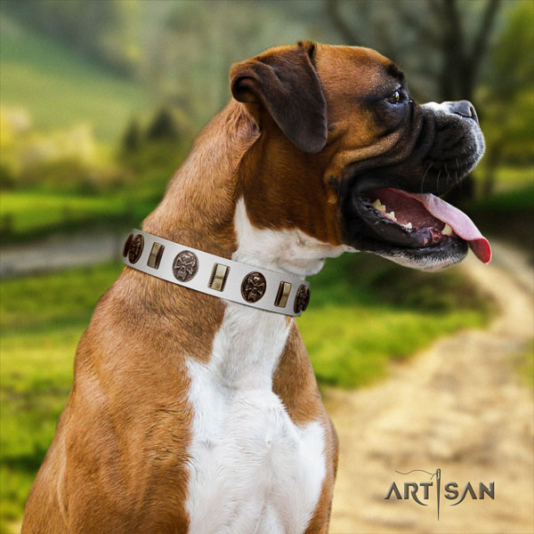 Boxer studded full grain genuine leather dog collar for basic training