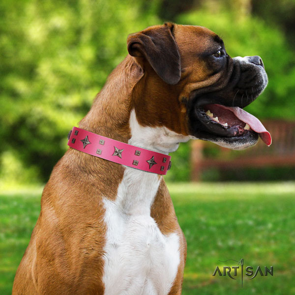 Boxer exceptional full grain natural leather dog collar for fancy walking