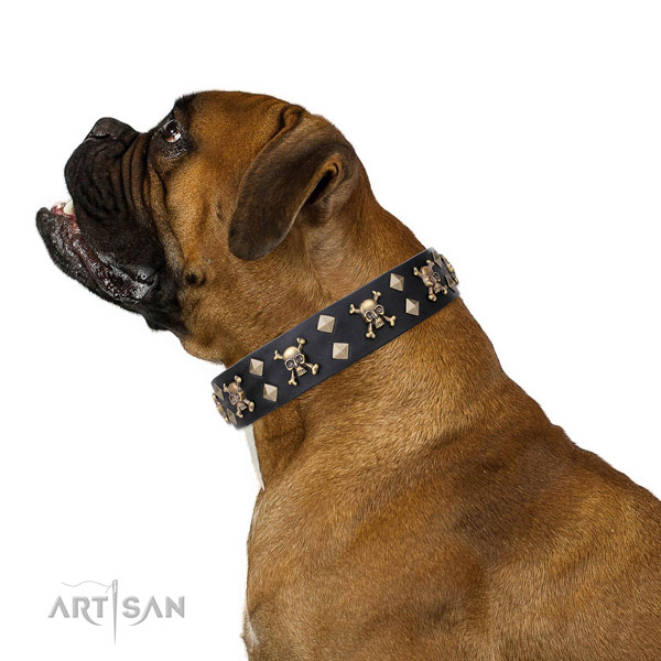 Boxer decorated genuine leather dog collar for fancy walking