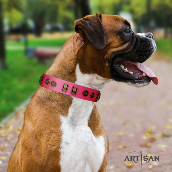 Boxer stunning leather collar with rust resistant hardware