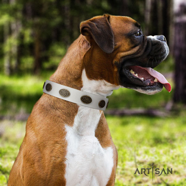 Boxer trendy full grain natural leather collar with rust-proof buckle