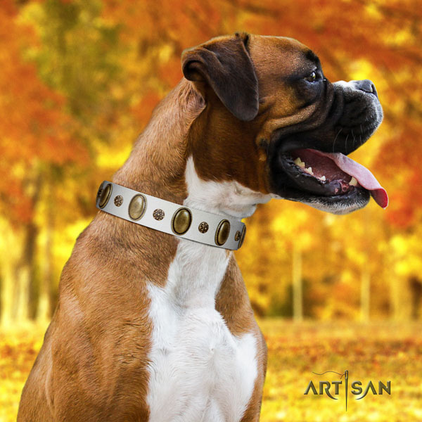 Boxer exceptional natural genuine leather dog collar for comfy wearing