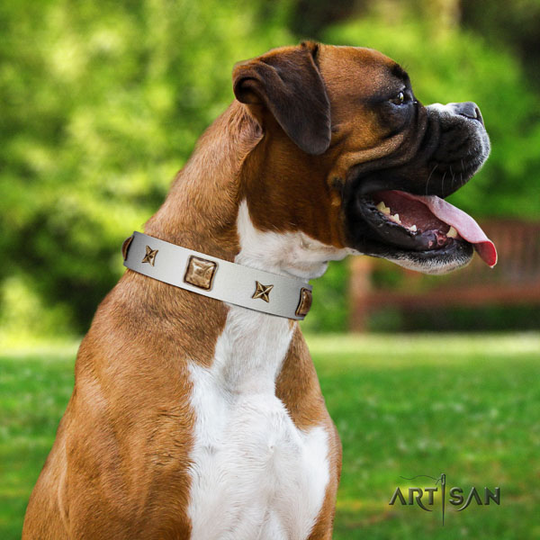 Boxer embellished leather dog collar for everyday walking
