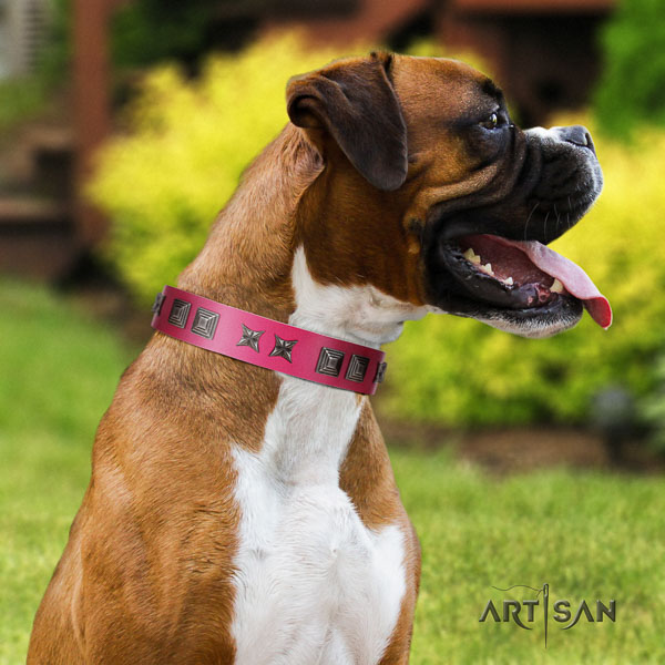 Boxer full grain leather collar with reliable fittings for comfy wearing