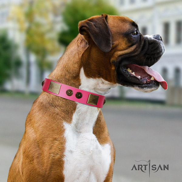 Boxer fashionable full grain leather dog collar for walking