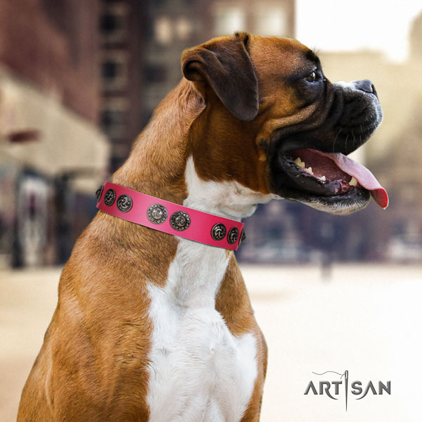 Boxer best quality natural genuine leather dog collar for basic training