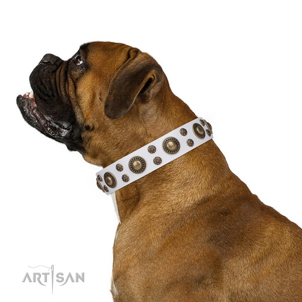 Boxer decorated leather dog collar for comfy wearing
